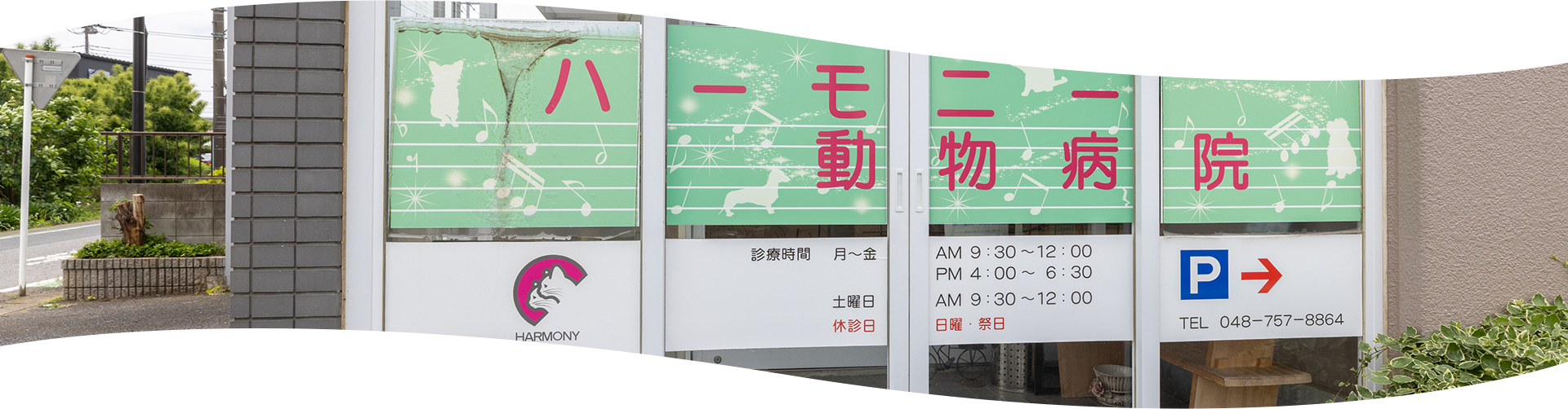 当院について