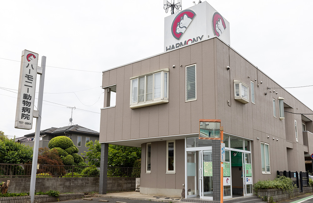 当院について