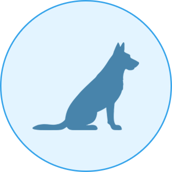 診療対象動物
